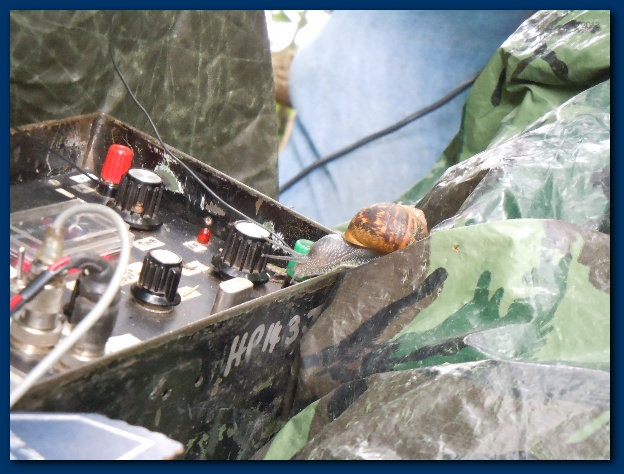 624x474 pixels (131K)