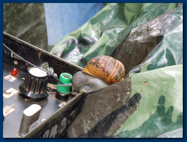 624x474 pixels (121K)