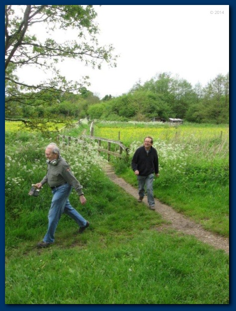 474x624 pixels (135K)