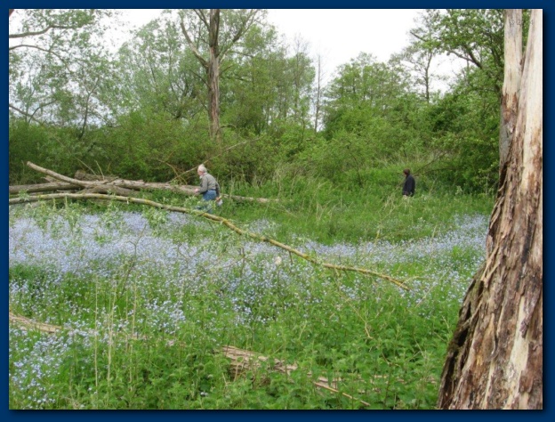 624x474 pixels (170K)