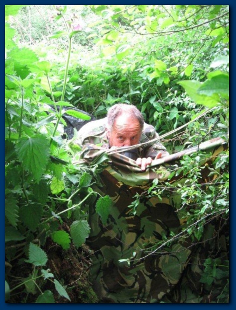 474x624 pixels (156K)