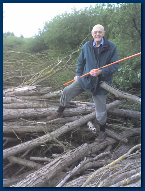 474x624 pixels (119K)