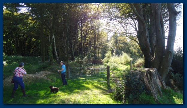 624x361 pixels (113K)