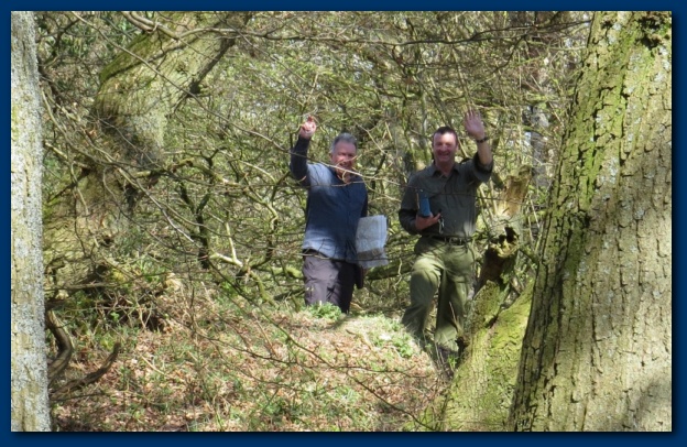 624x406 pixels (165K)