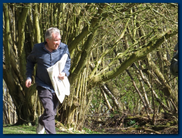 624x474 pixels (174K)