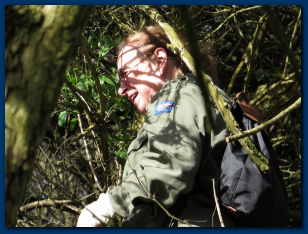 624x474 pixels (128K)