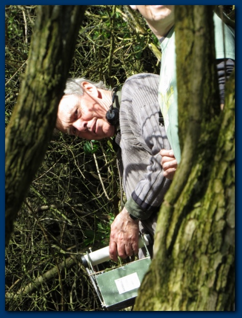 474x624 pixels (140K)