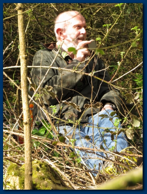 474x624 pixels (189K)