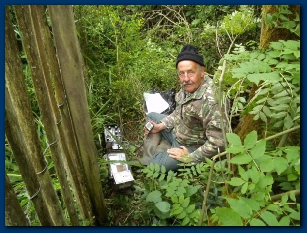 624x474 pixels (153K)