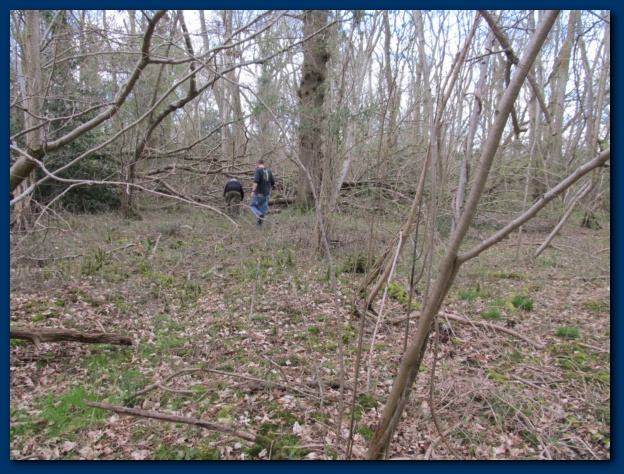 624x474 pixels (181K)