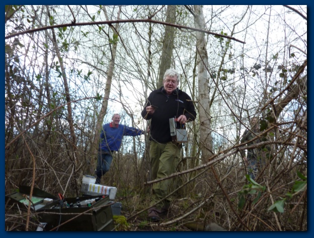 624x474 pixels (176K)