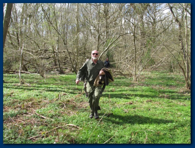 624x474 pixels (195K)