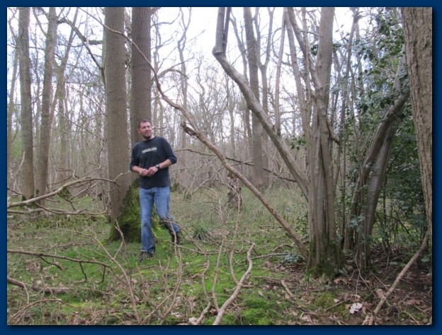 624x474 pixels (166K)