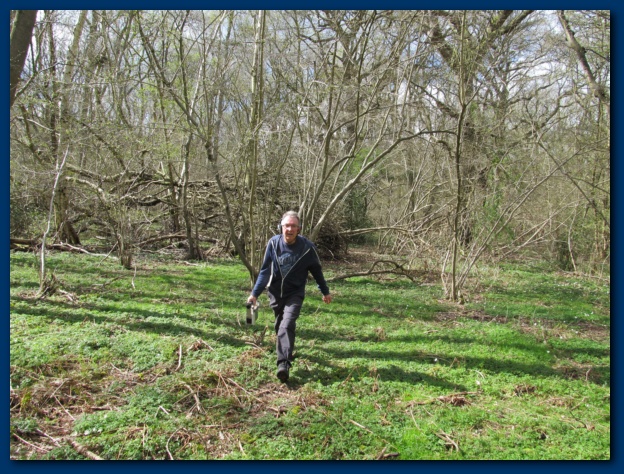 624x474 pixels (200K)