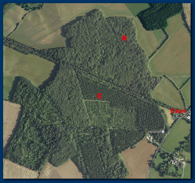 624x585 pixels (157K)