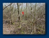 The easy way into C,  few took it!