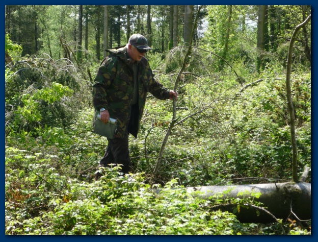 624x474 pixels (201K)