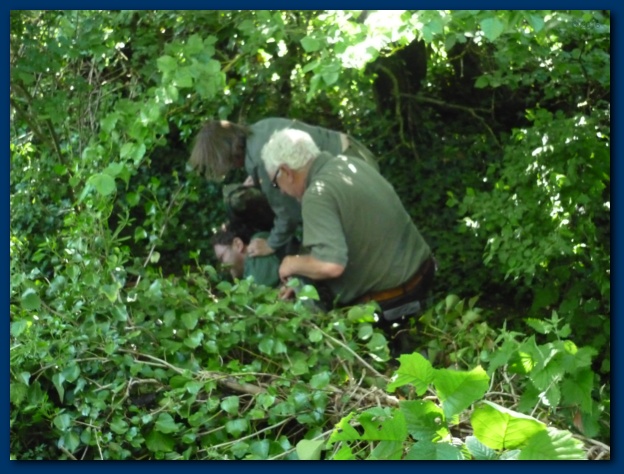 624x474 pixels (139K)