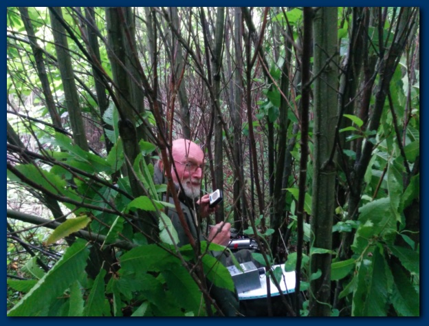 624x474 pixels (147K)