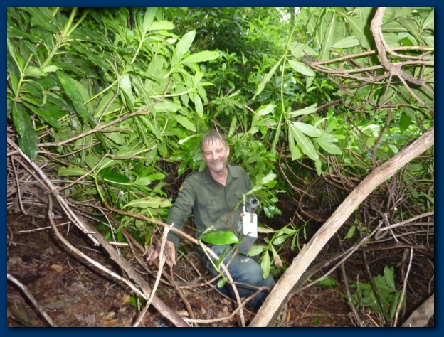 624x474 pixels (180K)