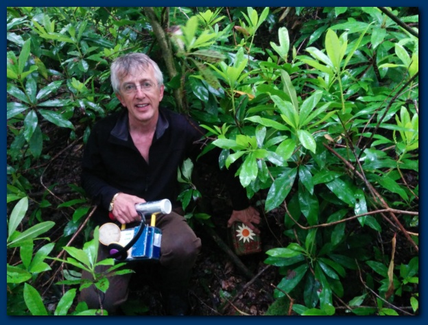 624x474 pixels (149K)