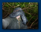 In the absence of  visitors C resorts to taking selfies ....