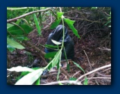 ...and takes a picture to prove it.