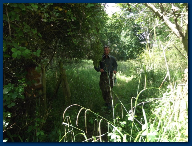 624x474 pixels (157K)