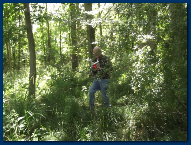 624x474 pixels (176K)