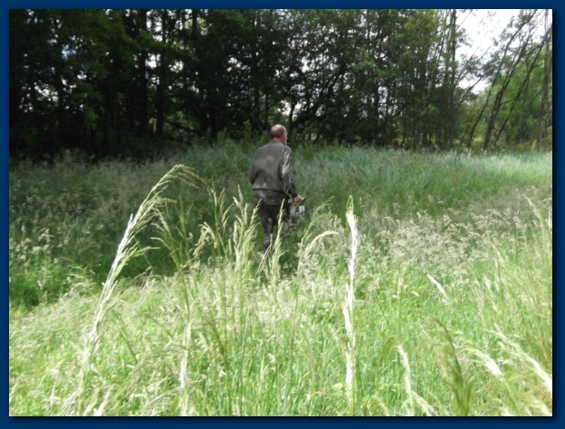 624x474 pixels (150K)