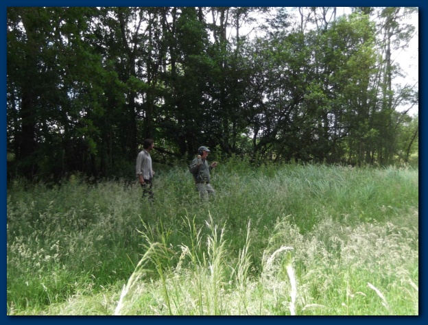 624x474 pixels (165K)