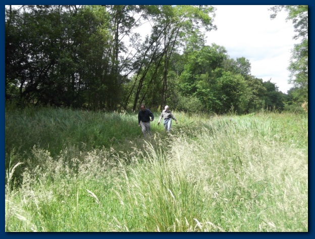 624x474 pixels (162K)