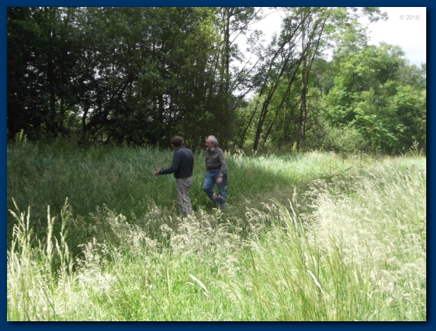 624x474 pixels (164K)