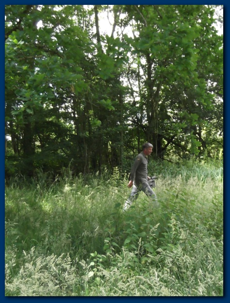 474x624 pixels (165K)