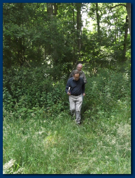 474x624 pixels (170K)