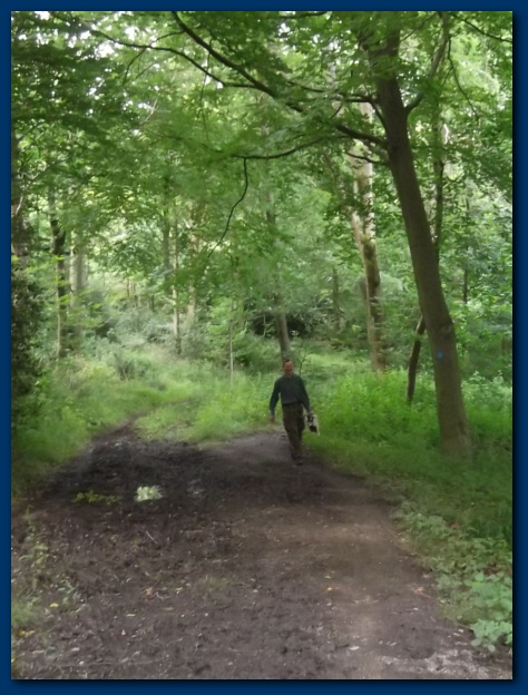 474x624 pixels (134K)