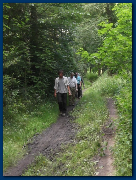 474x624 pixels (158K)