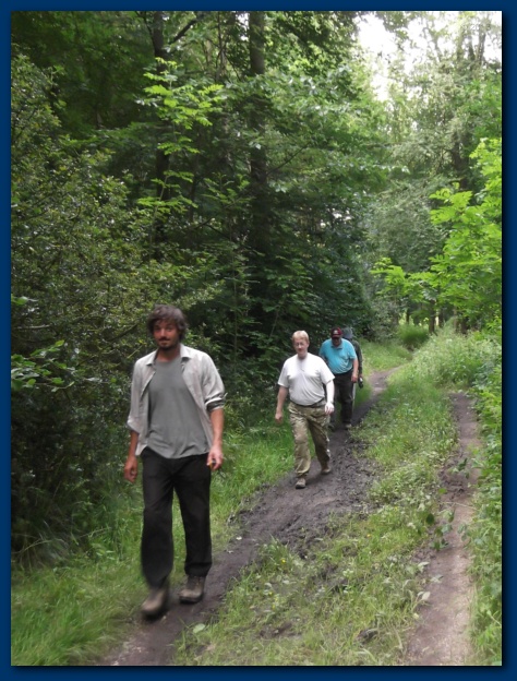 474x624 pixels (159K)