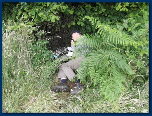 624x474 pixels (179K)