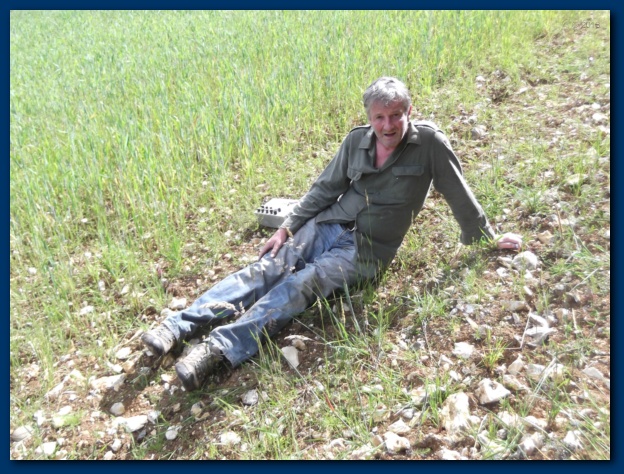 624x474 pixels (182K)