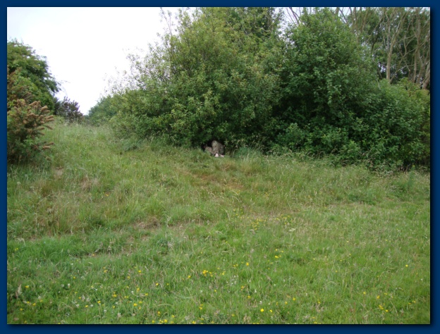 624x474 pixels (153K)