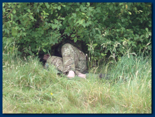 624x474 pixels (150K)