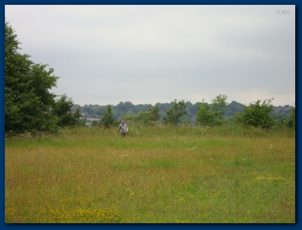 624x474 pixels (89K)