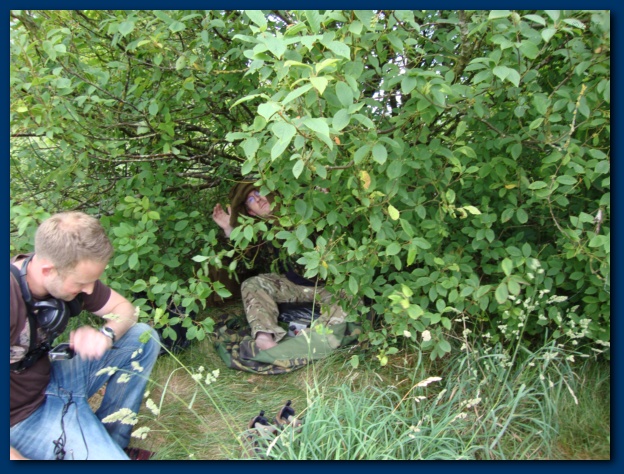 624x474 pixels (183K)