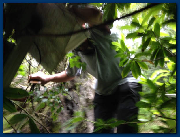 624x474 pixels (106K)