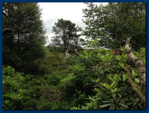 624x474 pixels (160K)