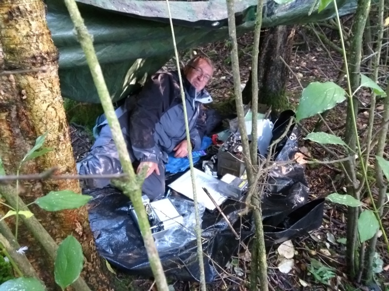 800x600 pixels (236K)