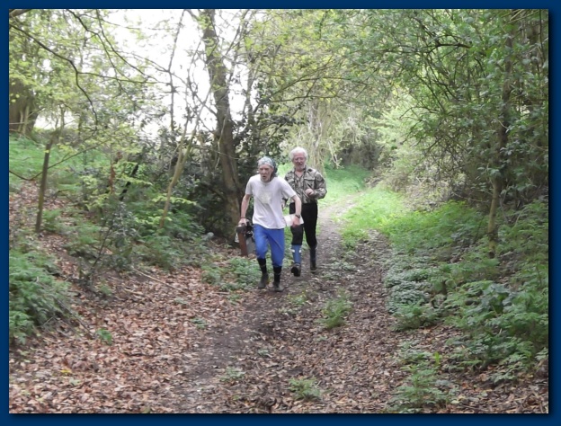 624x474 pixels (178K)