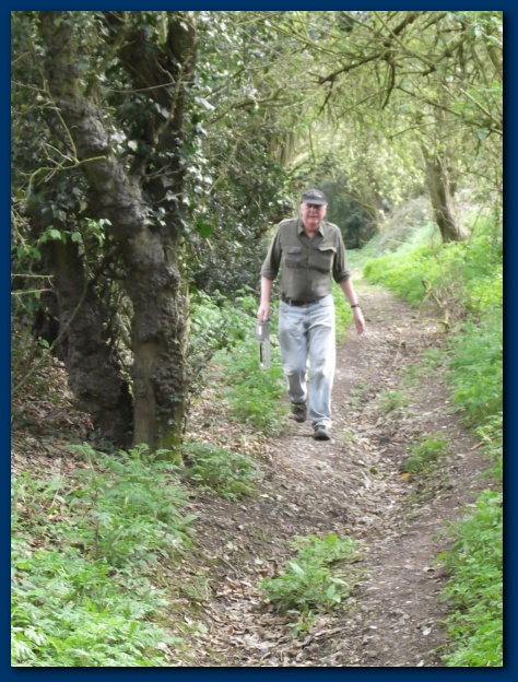 474x624 pixels (171K)