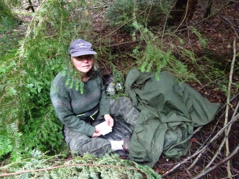 800x600 pixels (262K)